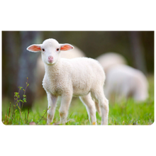 Small Size Clutch Bag Saffiano Leather finish