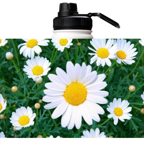 18oz Stainless Steel White Coated Water bottle with Sport lid