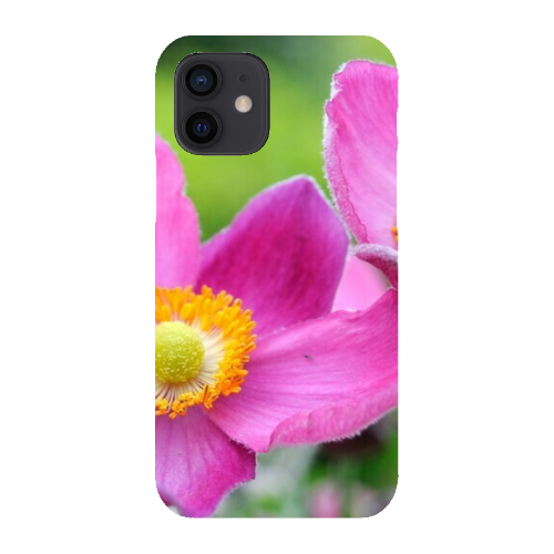 iPhone 12 Snap Case in Matte